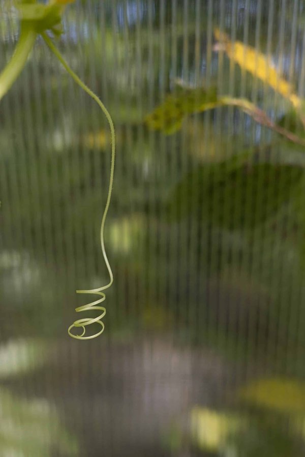 Quelles stratégies pour surmonter la résistance au changement lors de l'implémentation d'un nouveau système CRM?